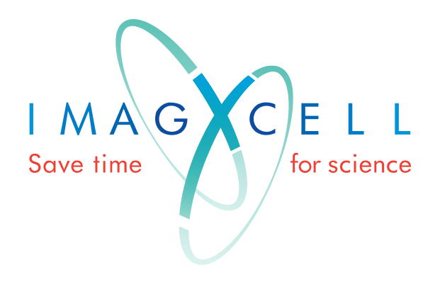 ImagXcell 标志